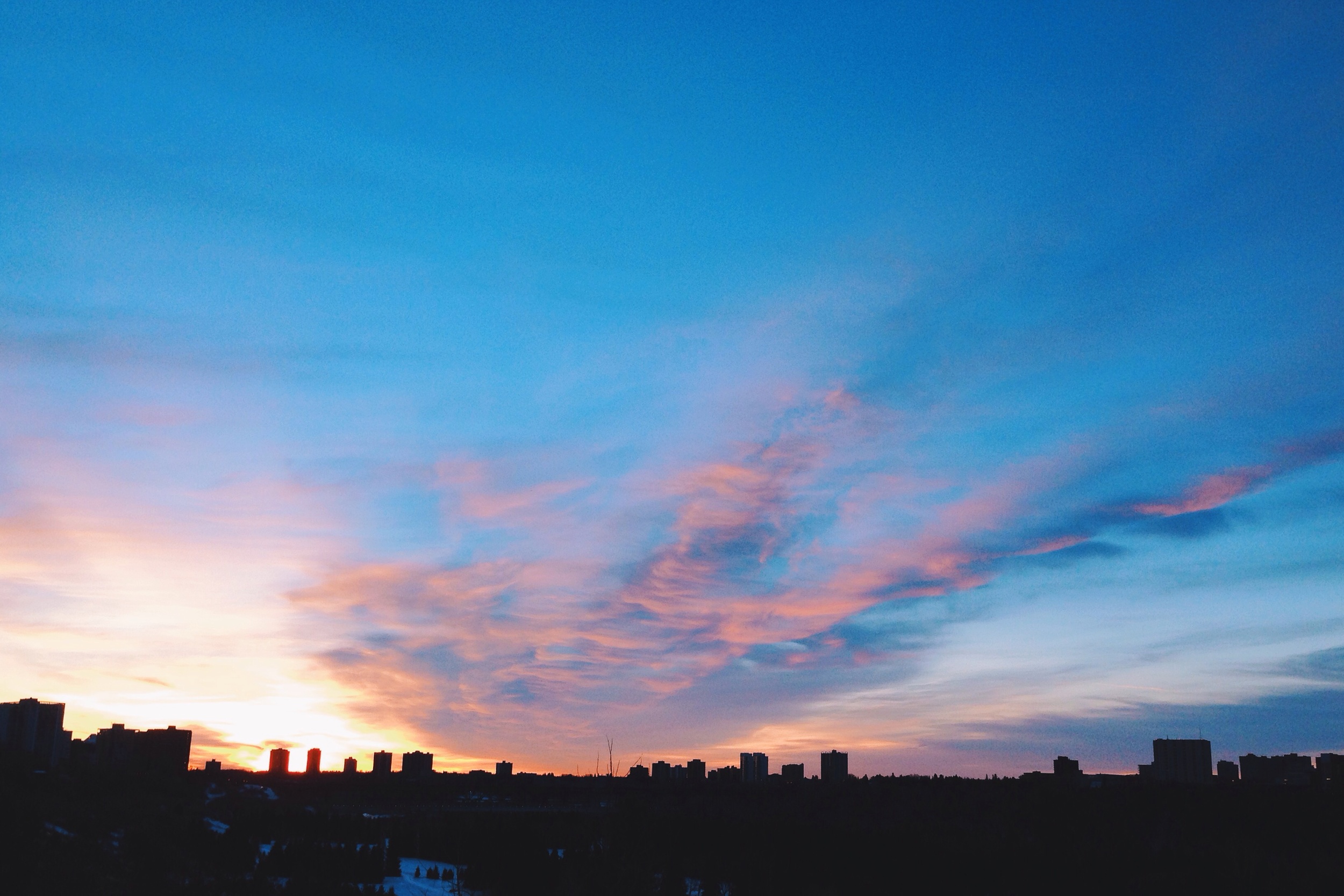 Morning, January 24th.&nbsp;