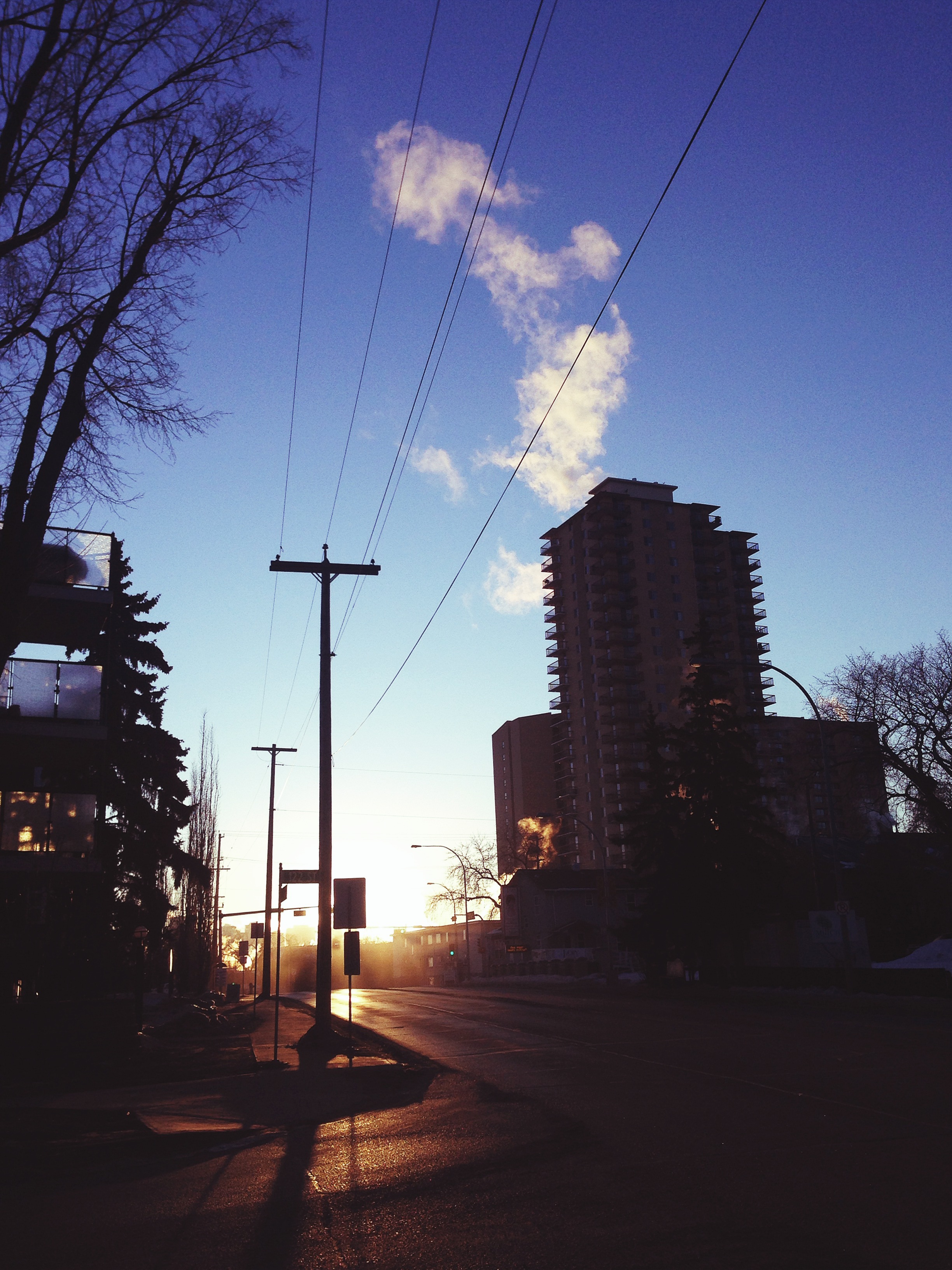 MorningLight