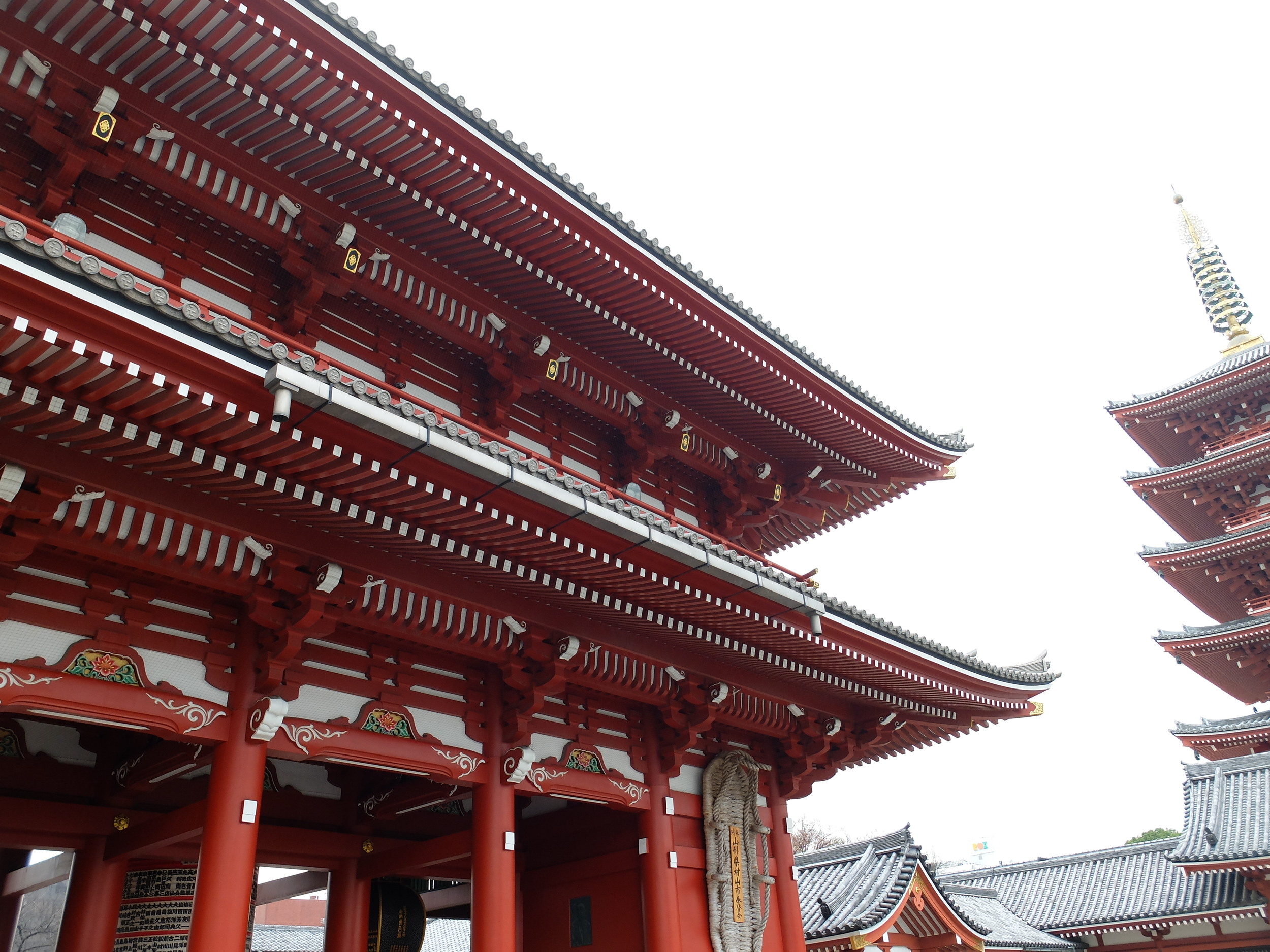 DSCF2140.JPG