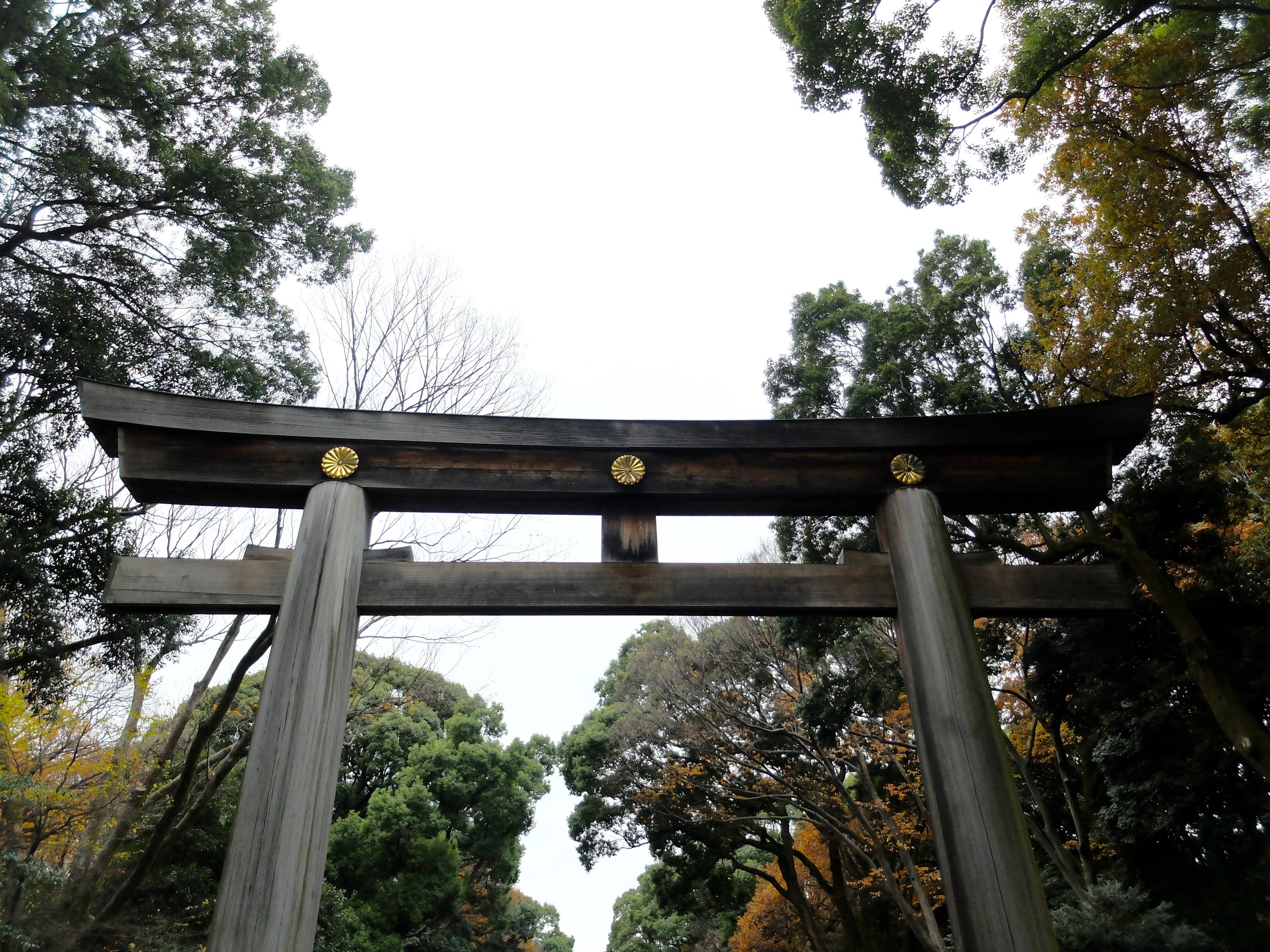DSCF2195.jpg
