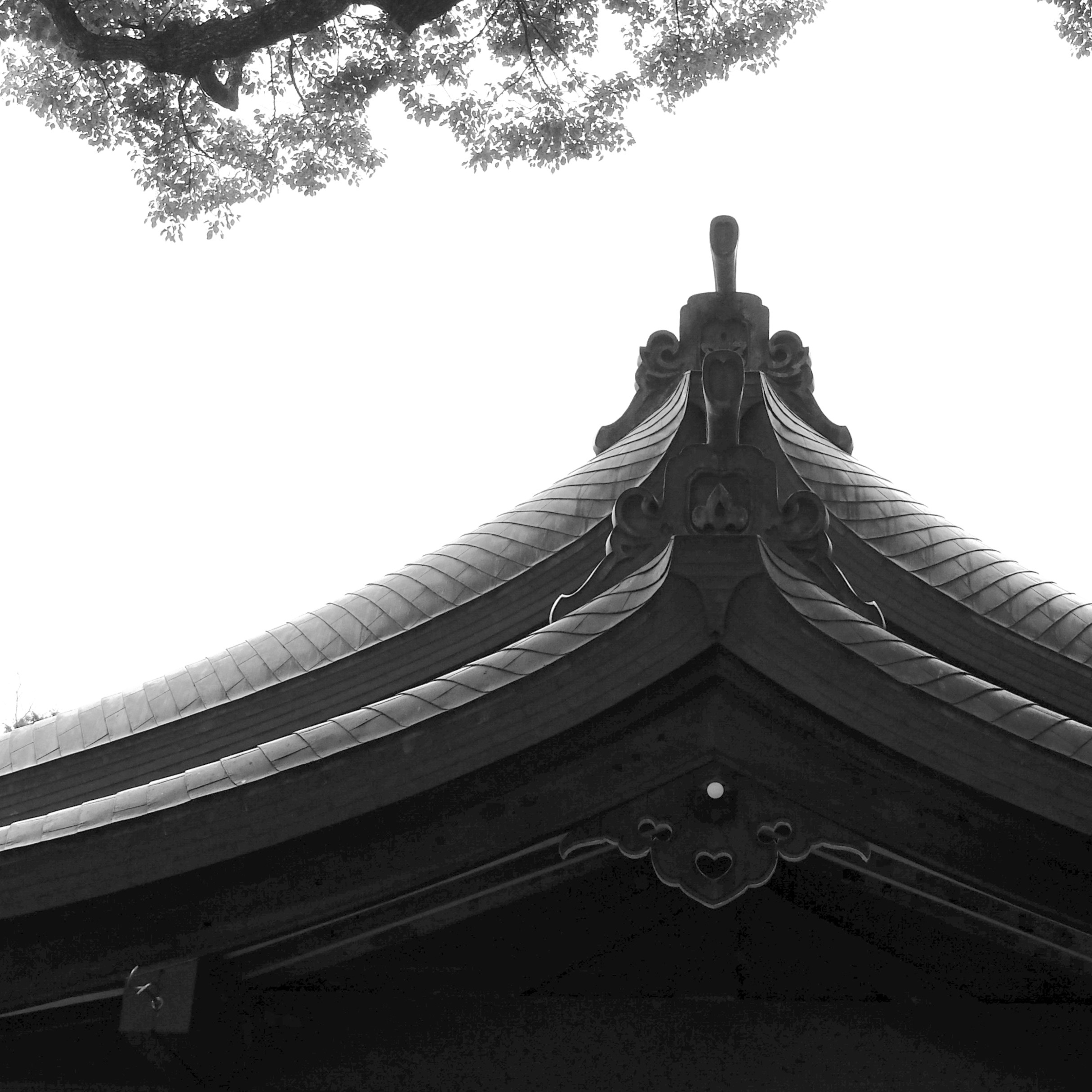 DSCF2208.jpg