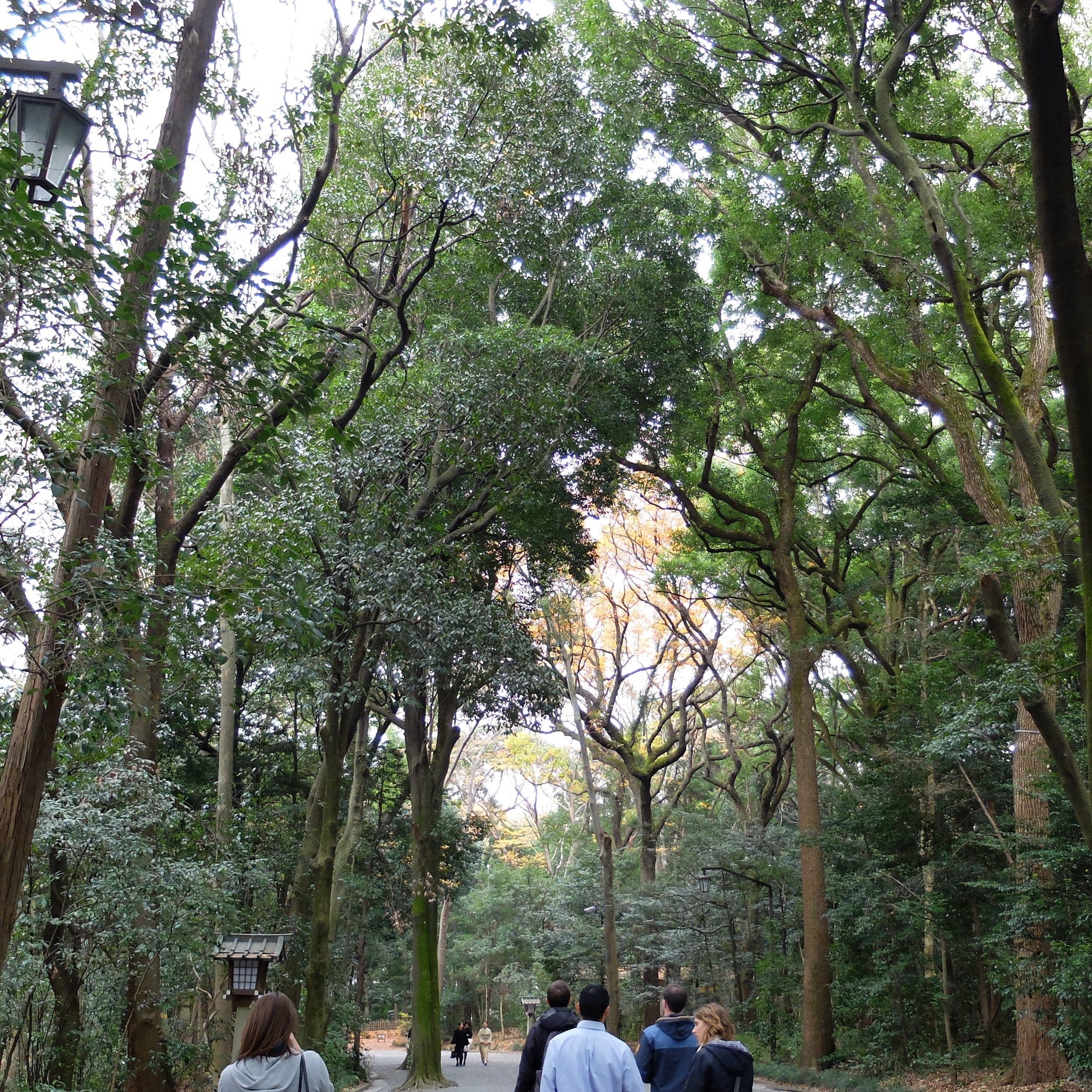 DSCF2233.jpg