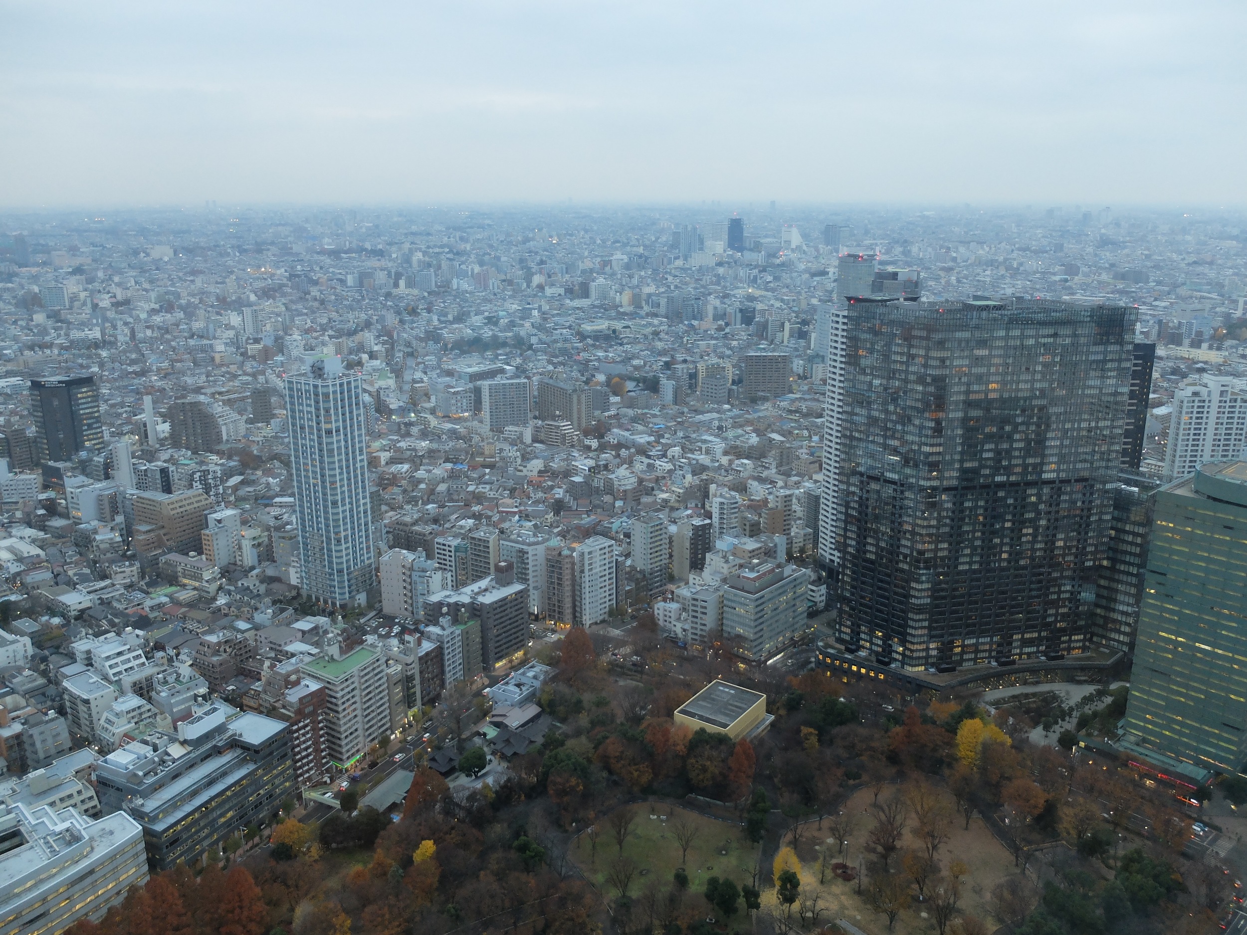 DSCF2273.jpg