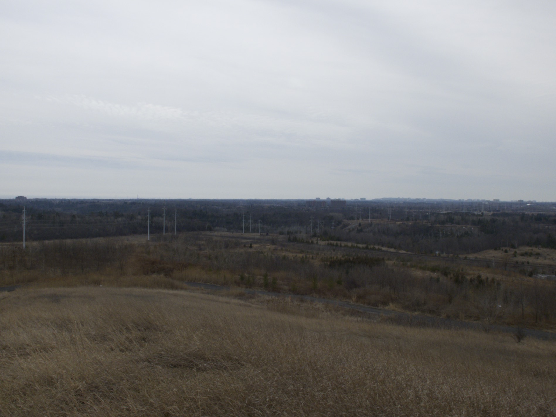 DSCF0641.jpg