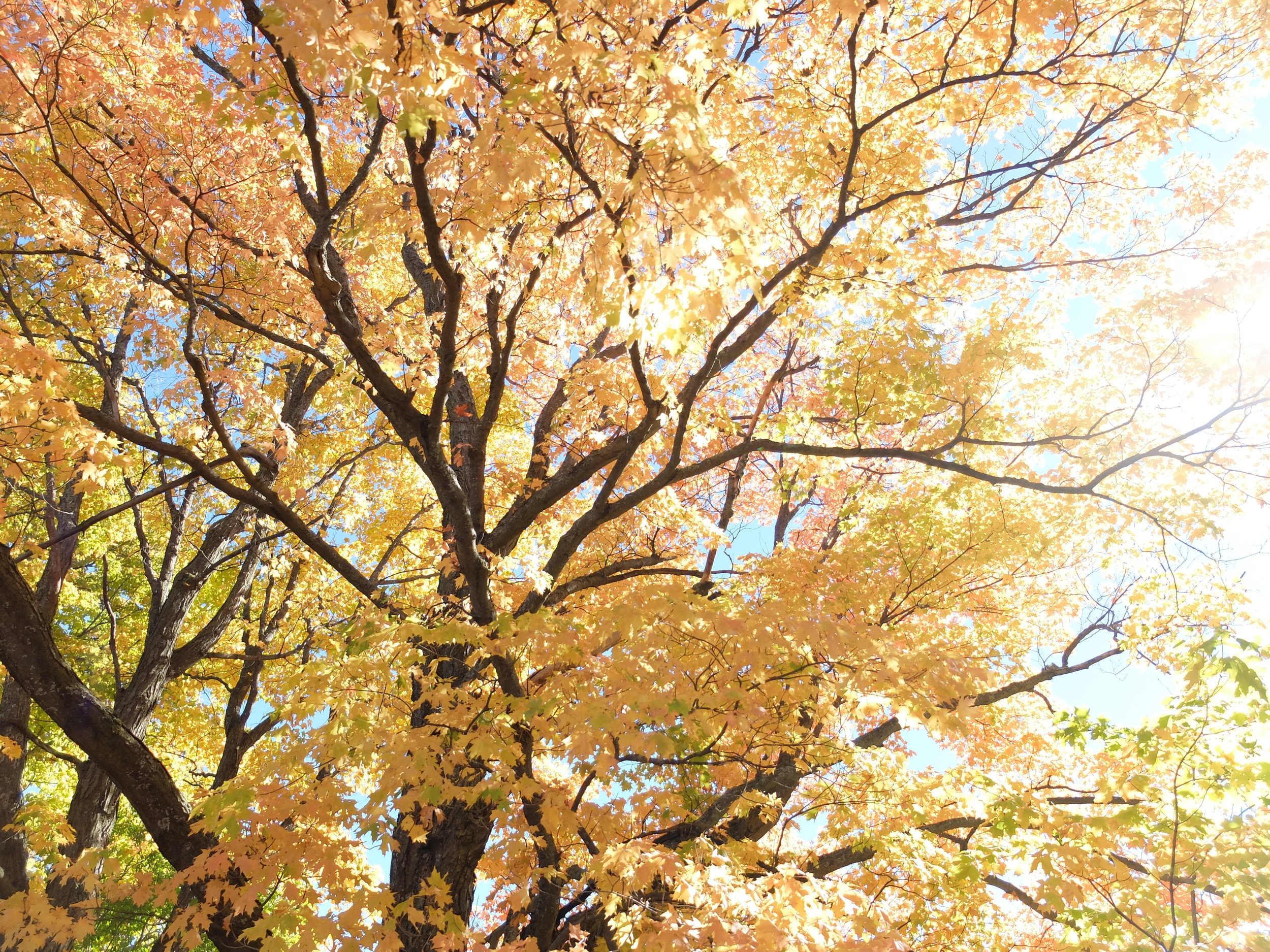 DSCF3140.JPG
