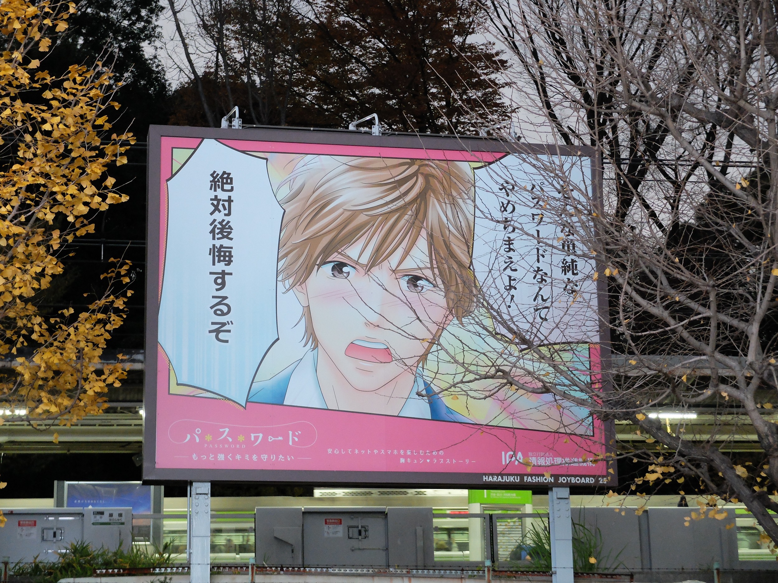 DSCF2451.jpg
