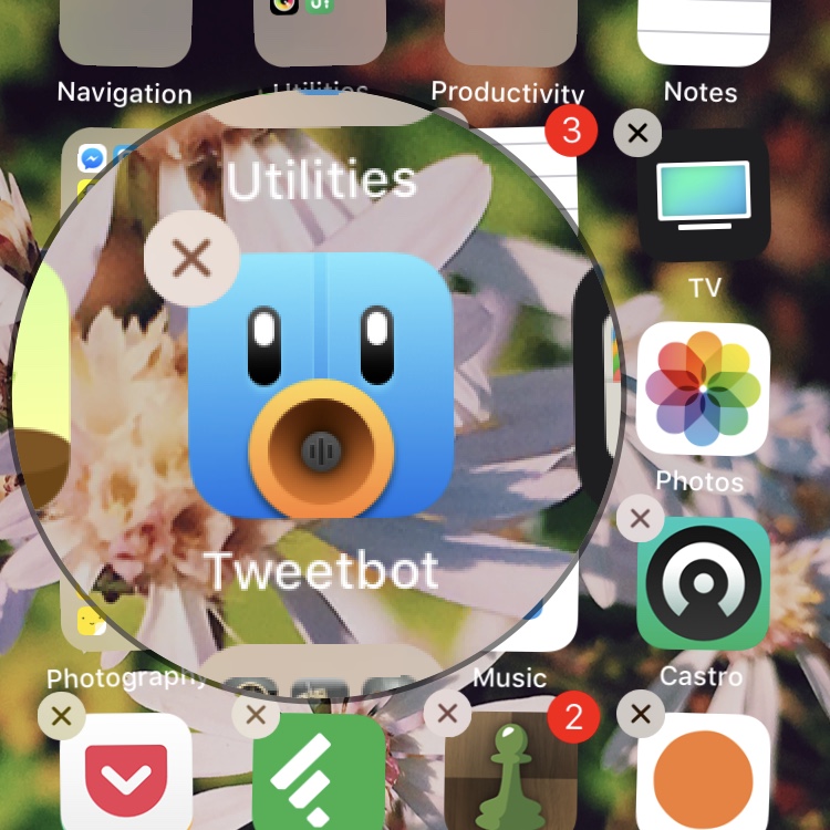 Goodbye Tweetbot.