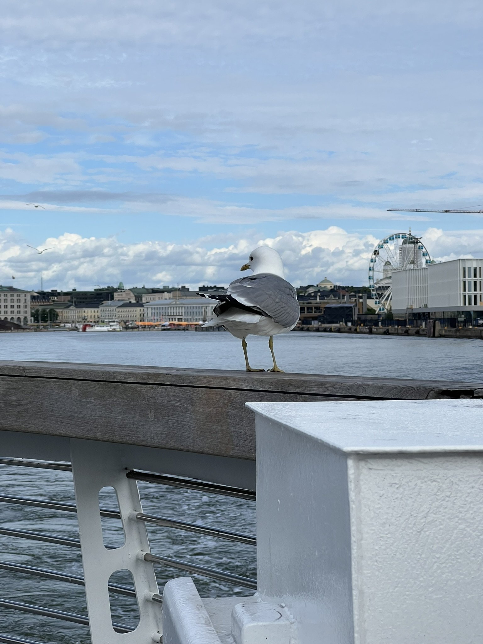 3E3AA80F-1F12-4322-9593-781ABFB7D154_1_102_o.jpeg