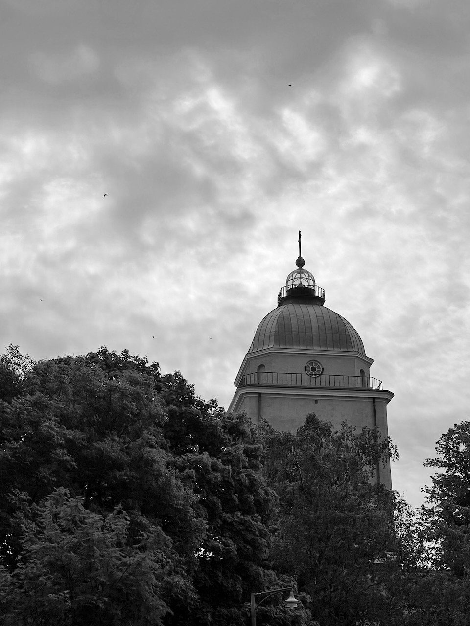 IMG_7389.jpeg